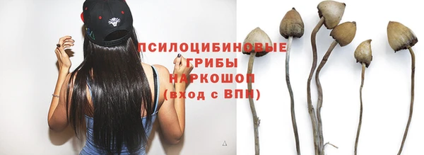 бошки Абдулино