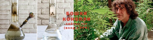 PSILOCYBIN Алексин