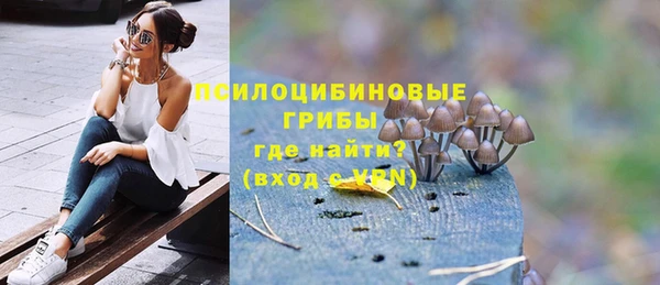 круглые Абаза