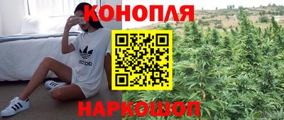 гашик Абинск