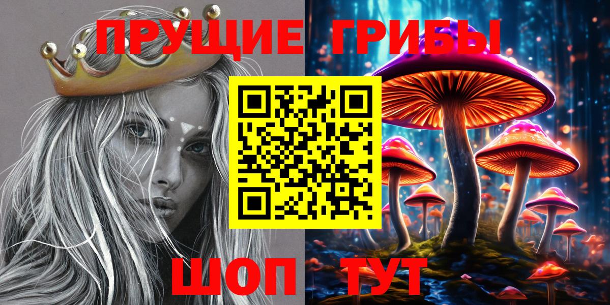 Галлюциногенные грибы Cubensis Абакан
