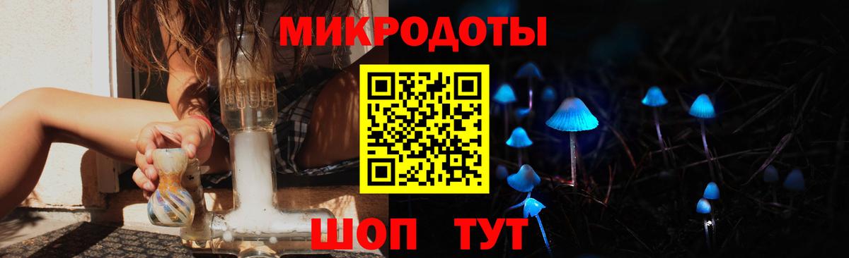 Абакан  Галлюциногенные грибы Cubensis  наркотики  Вход с VPN 