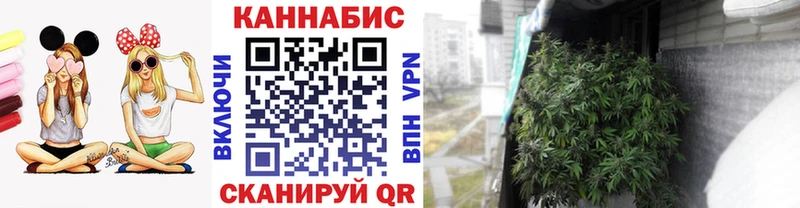 Бошки Шишки OG Kush Абакан