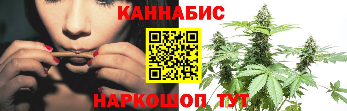 Бошки Шишки MAZAR Абакан